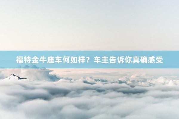 福特金牛座车何如样？车主告诉你真确感受
